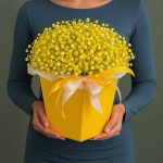 Гипсофилы мини