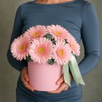 Герберы гермини